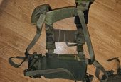 Chest rig + m4 pouches