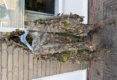 Airsoft Ghillie Suit (M) Kicking Mustang Concealment System