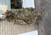 Airsoft Ghillie Suit (M) Kicking Mustang Concealment System