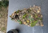 Airsoft Ghillie Suit (M) Kicking Mustang Concealment System