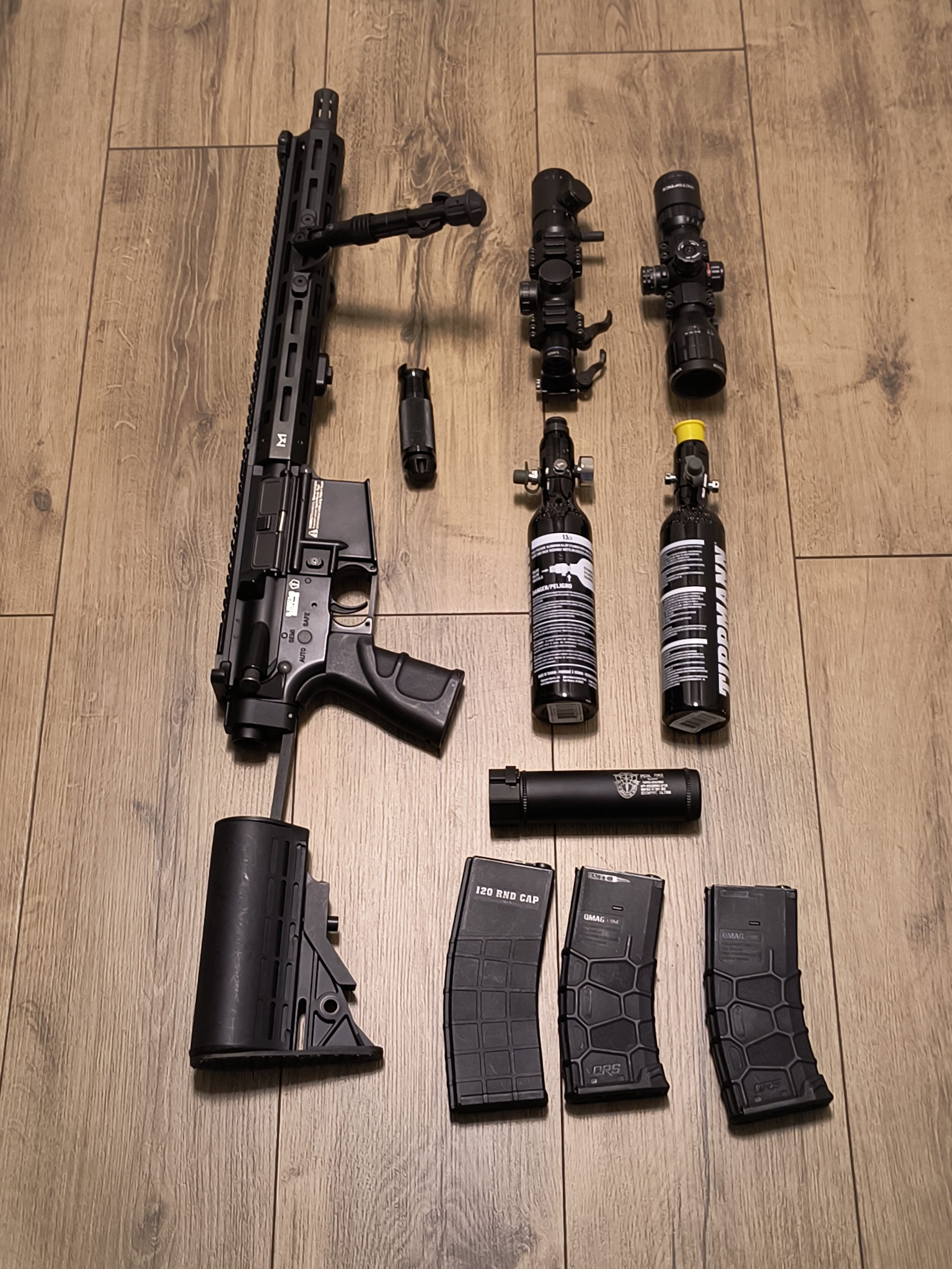 Tippmann omega hPa dmr