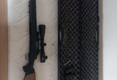 SSG24
